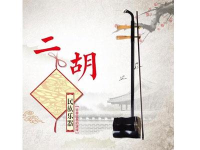 招聘嘉兴二胡家教老师